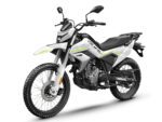 CF Moto Dual 250 – Dual Purpose Adventure Motorcycle - Image 2